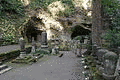 覚山尼の画像