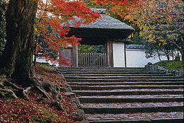 遵西の画像