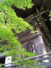 静遍の画像