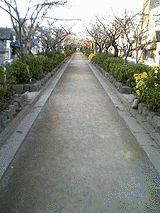 禅暁の画像