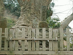 平高清の画像