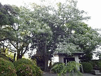 明遍の画像