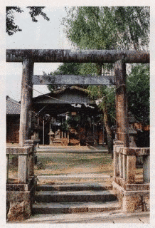 一条信能の画像