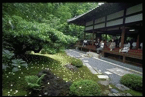 洞院公守の画像