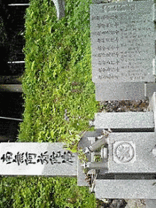 橋本実俊の画像