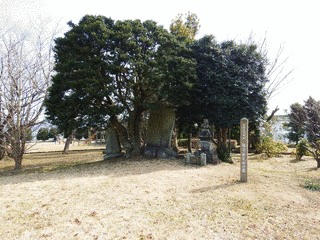 藤原範茂の画像