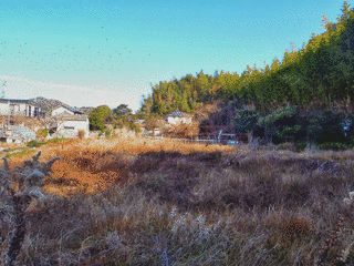 源輔通の画像