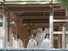 嘉陽門院越前の画像