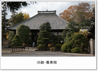鷹司院按察の画像