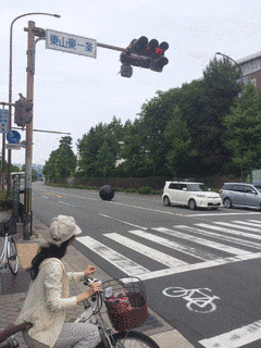 一条ぎょく子の画像
