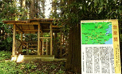 葉室光俊の画像