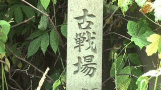大河兼任の画像