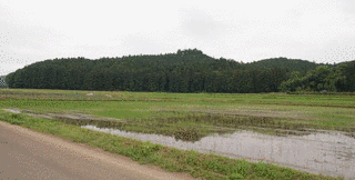 風見胤重の画像
