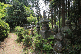 多田経実の画像