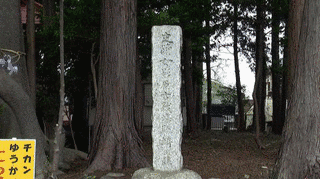 渋川義季の画像
