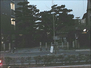 堀川基子の画像