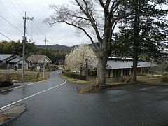宇都宮等綱の画像