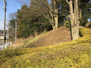小山泰朝の画像