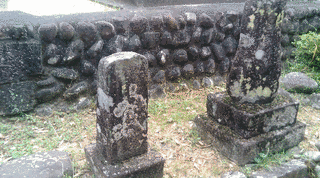 楠木行康の画像