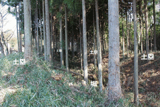 佐竹義俊の画像
