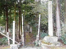 1397年に亡くなった人物の画像