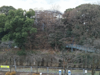 豊島泰明の画像