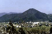 波多野秀長の画像