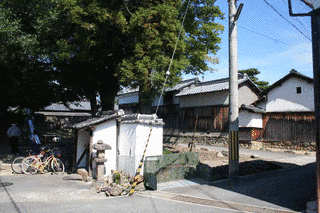 古市胤仙の画像