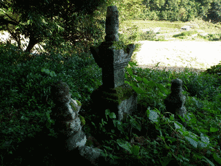1444年生まれの人物の画像