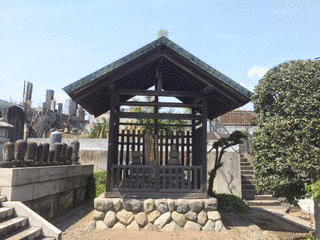 山口高実の画像