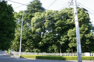 山名澄之の画像