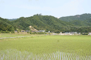 山名政之の画像