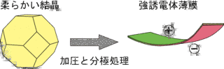 恵萼の画像
