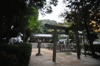 円恵法親王の画像