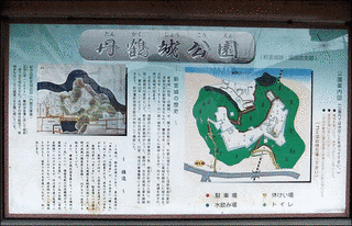 鳥居禅尼の画像