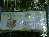 祥寿姫の画像