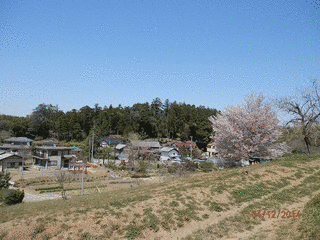 比企尼の画像