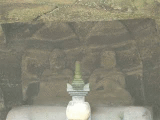 山内尼の画像
