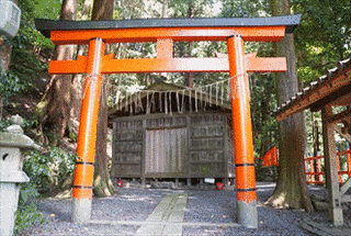紀静子の画像