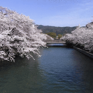 菅野高世の画像