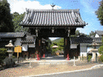 橘清樹の画像