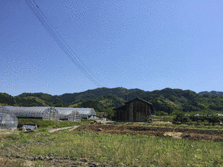 布留今道の画像