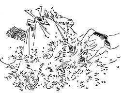 足利忠綱の画像