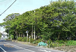 鮫島宗家の画像