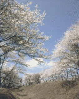 1108年生まれの人物の画像