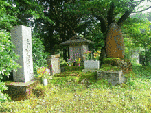 平知度の画像
