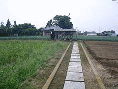 得河義秀の画像
