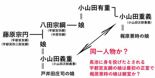 八田宗綱の画像