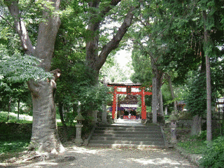 松平信将の画像