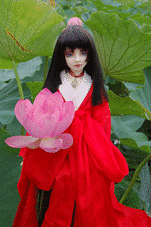 蓮姫の画像